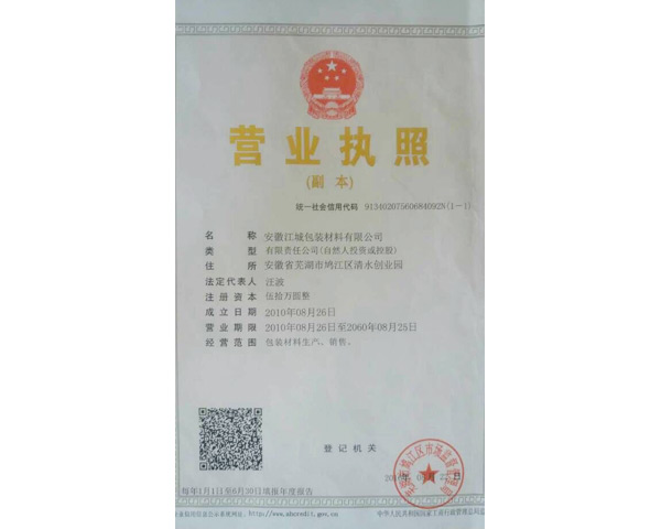 芜湖荣誉资质 (2)